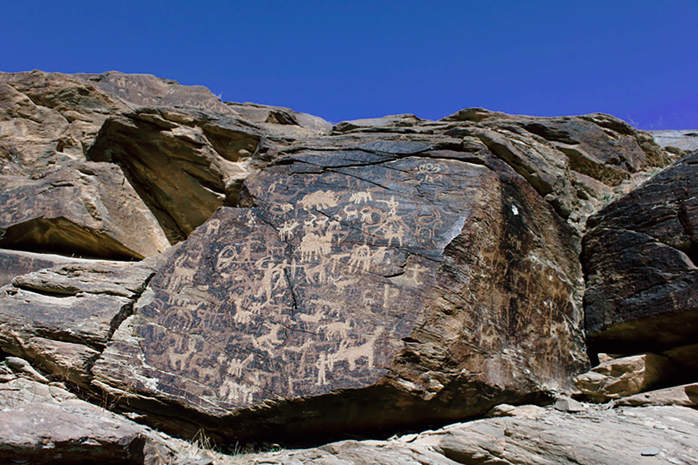 Ibex Motif Iran Iranian Rock Art Bradshaw Foundation