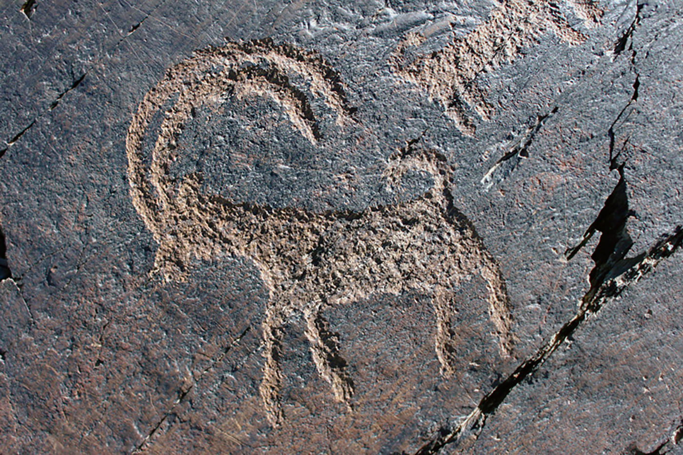 Ibex Motif Iran Iranian Rock Art Bradshaw Foundation