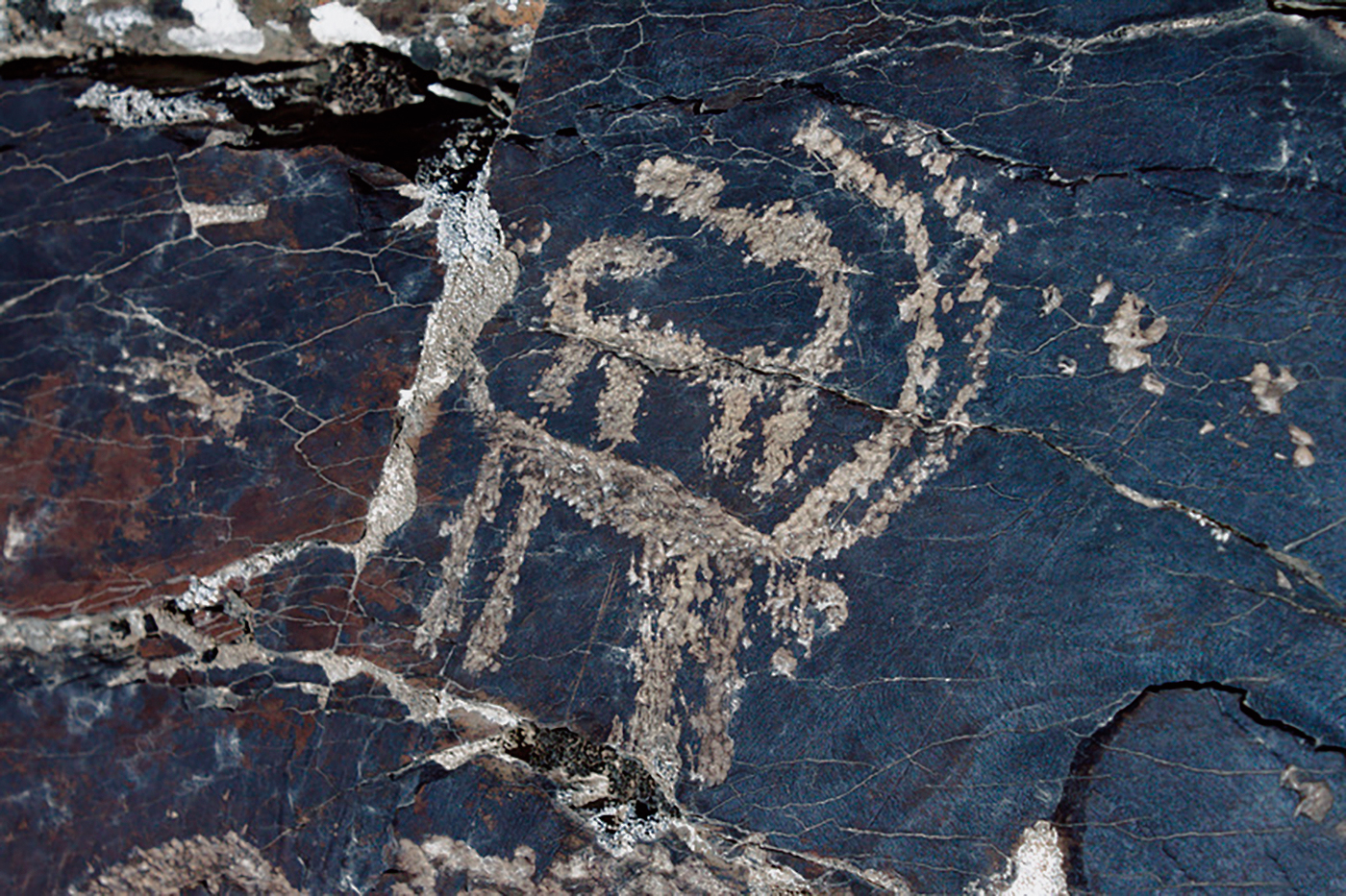 Ibex Motif Iran Iranian Rock Art Bradshaw Foundation