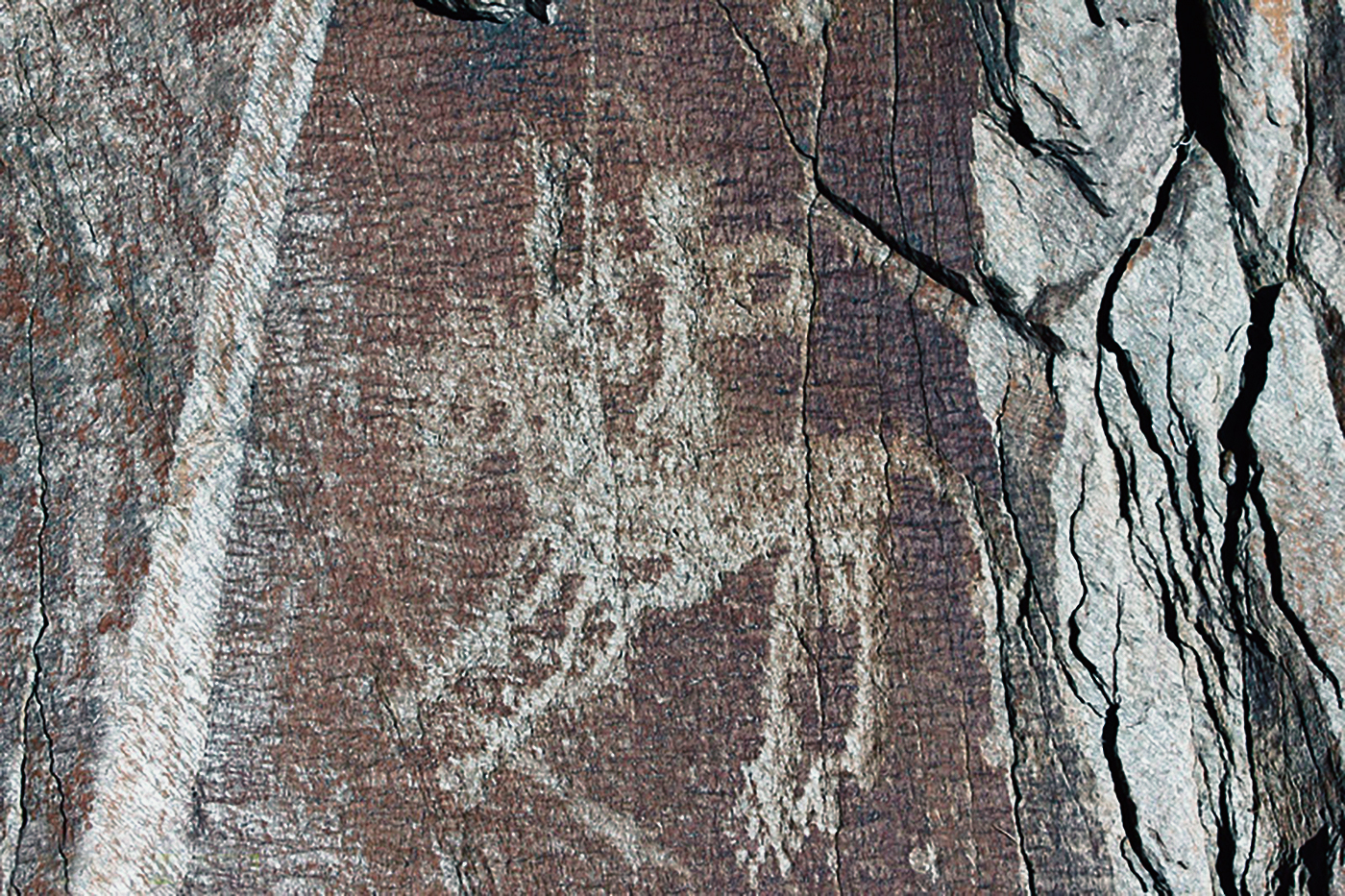 Ibex Motif Iran Iranian Rock Art Bradshaw Foundation