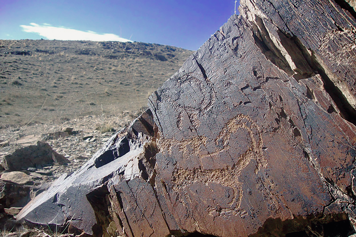 Ibex Motif Iran Iranian Rock Art Bradshaw Foundation