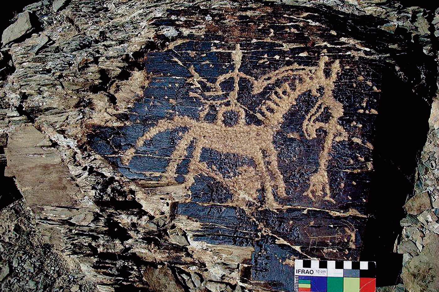 Ibex Motif Iran Iranian Rock Art Bradshaw Foundation