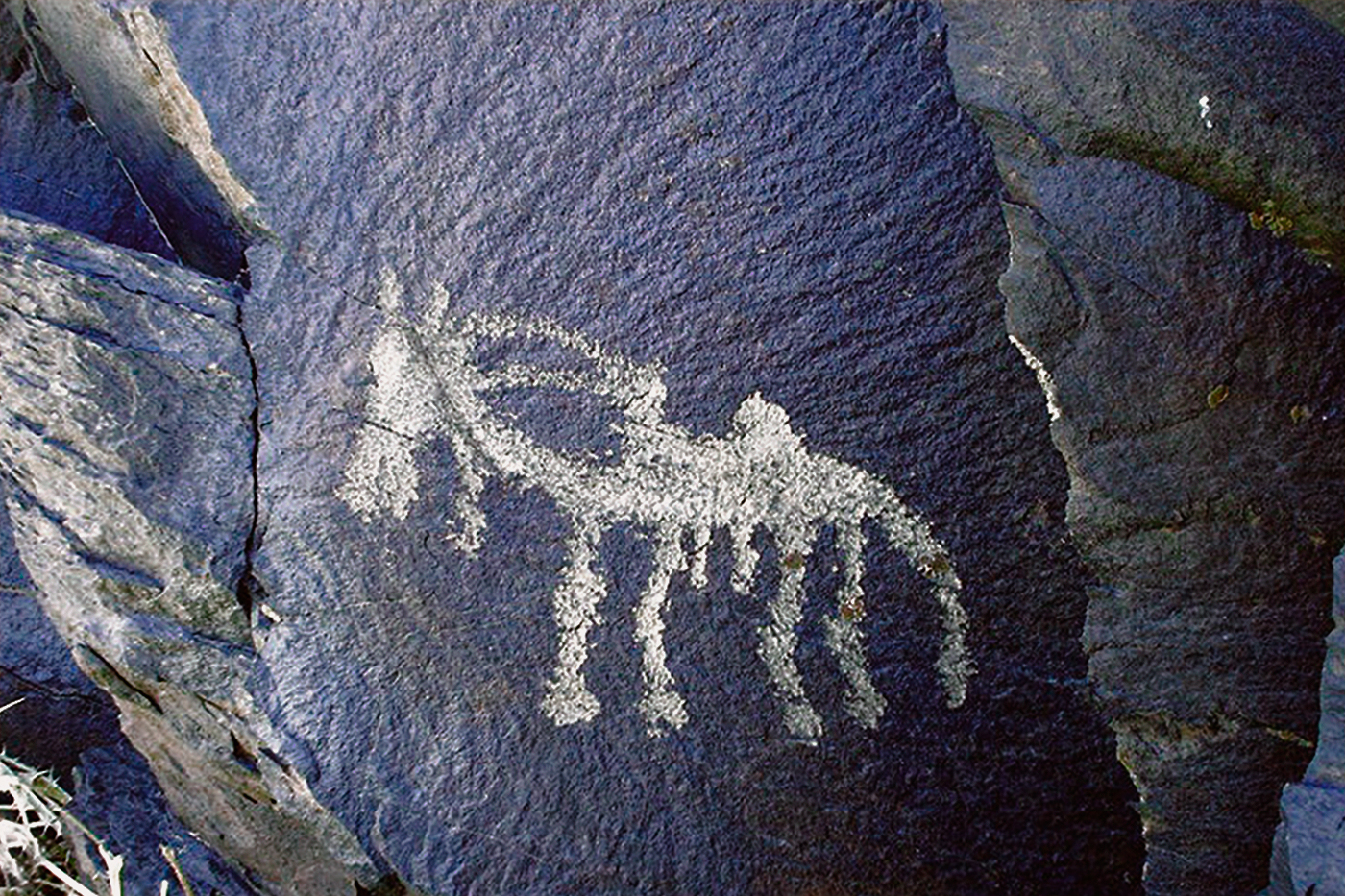 Ibex Motif Iran Iranian Rock Art Bradshaw Foundation