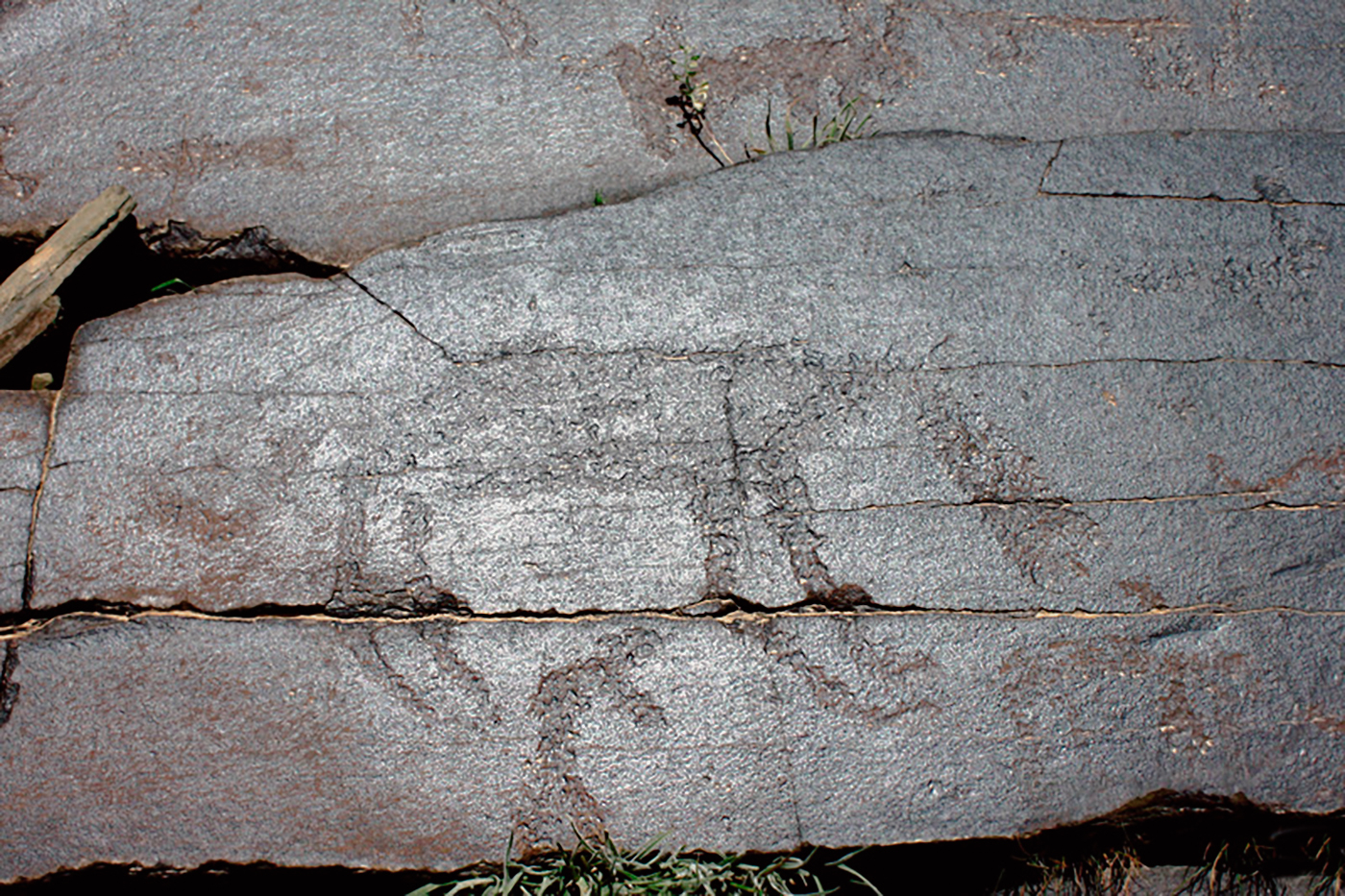 Ibex Motif Iran Iranian Rock Art Bradshaw Foundation