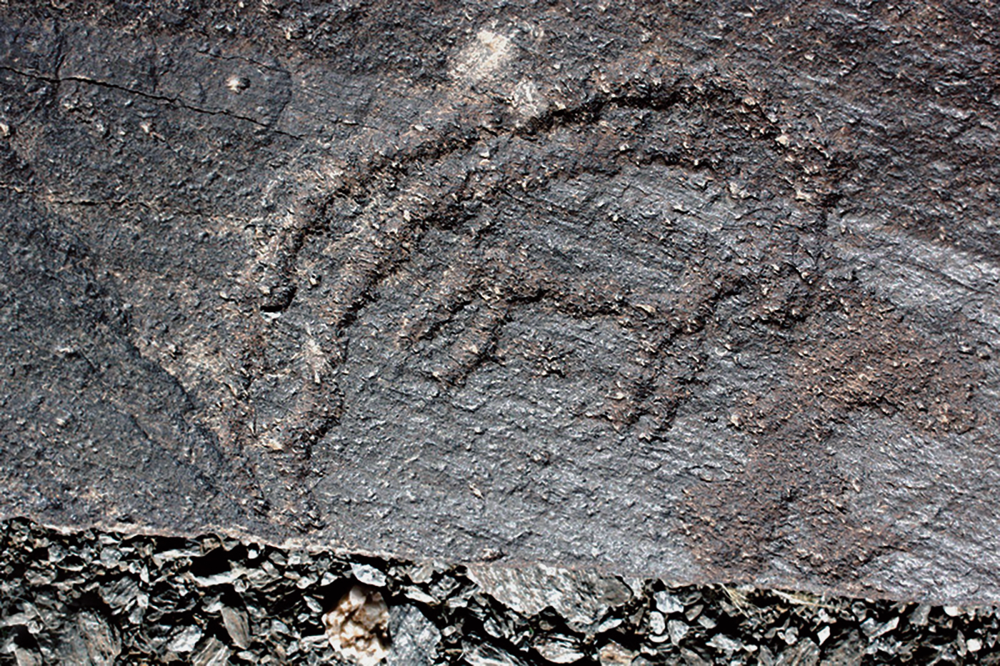 TIbex Motif Iran Iranian Rock Art Bradshaw Foundation