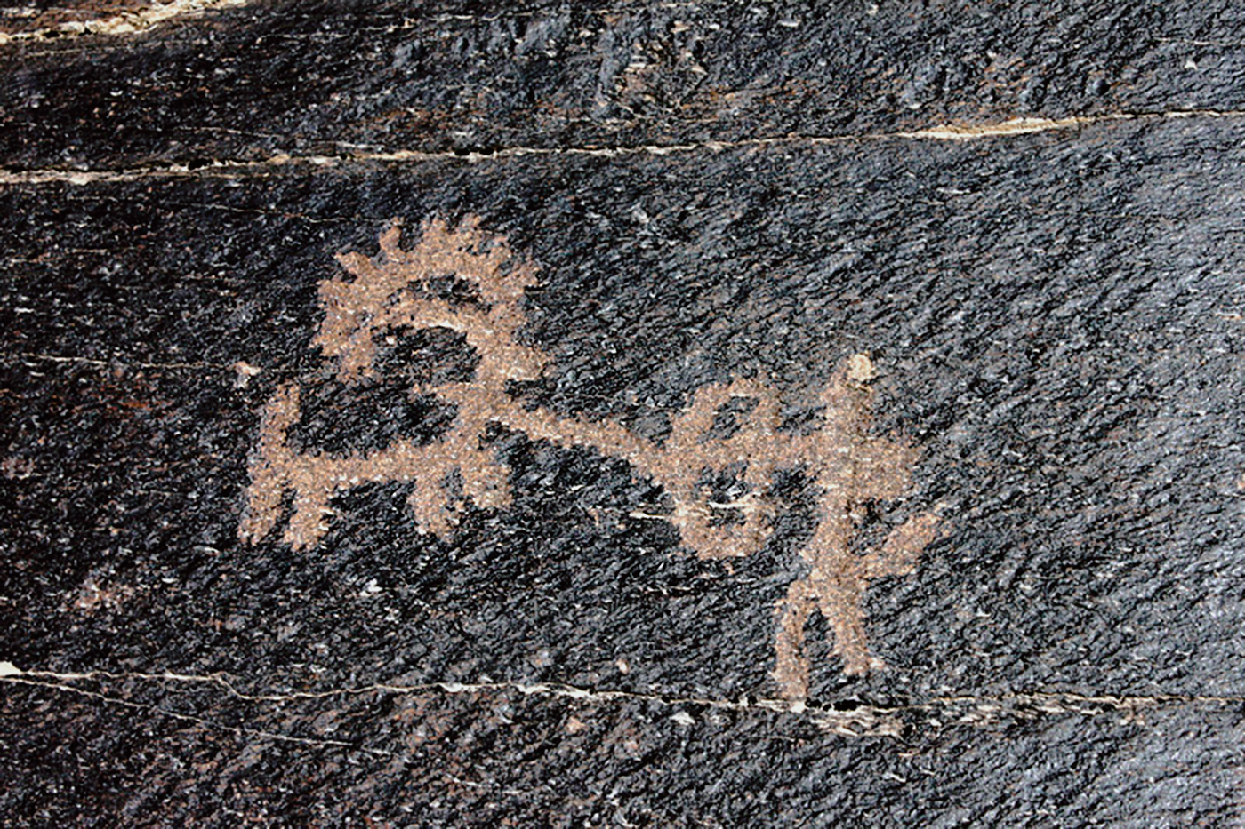 Ibex Motif Iran Iranian Rock Art Bradshaw Foundation