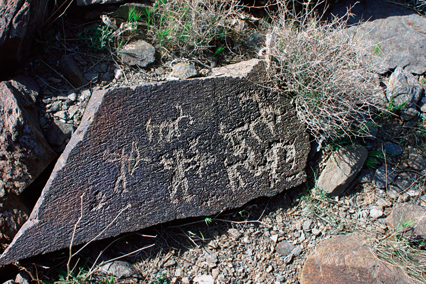  Ibex Motif Iran Iranian Rock Art Bradshaw Foundation