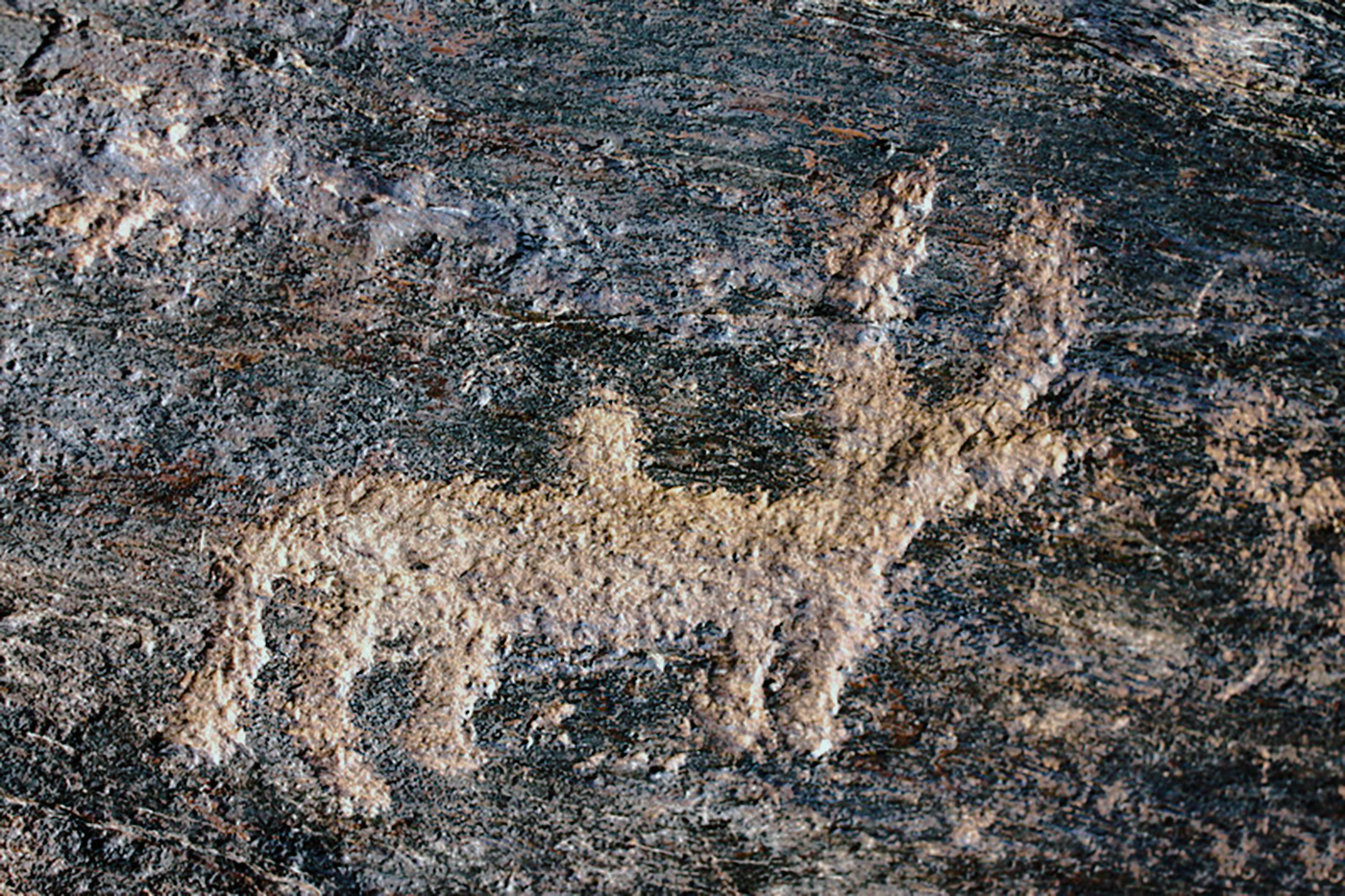 Ibex Motif Iran Iranian Rock Art Bradshaw Foundation