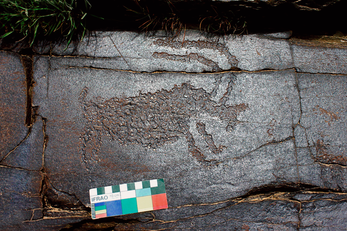 Ibex Motif Iran Iranian Rock Art Bradshaw Foundation