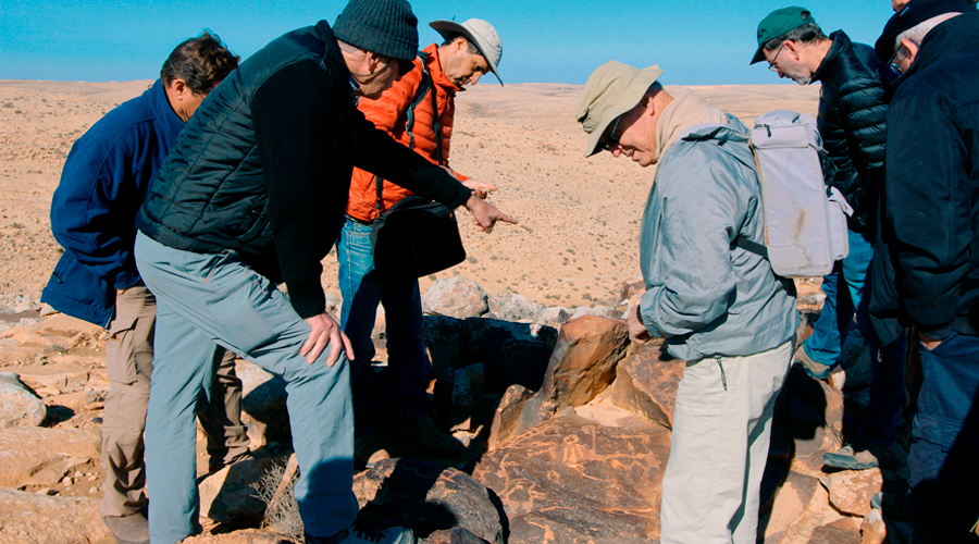 Negev Rock Art Desert  Bradshaw Foundation