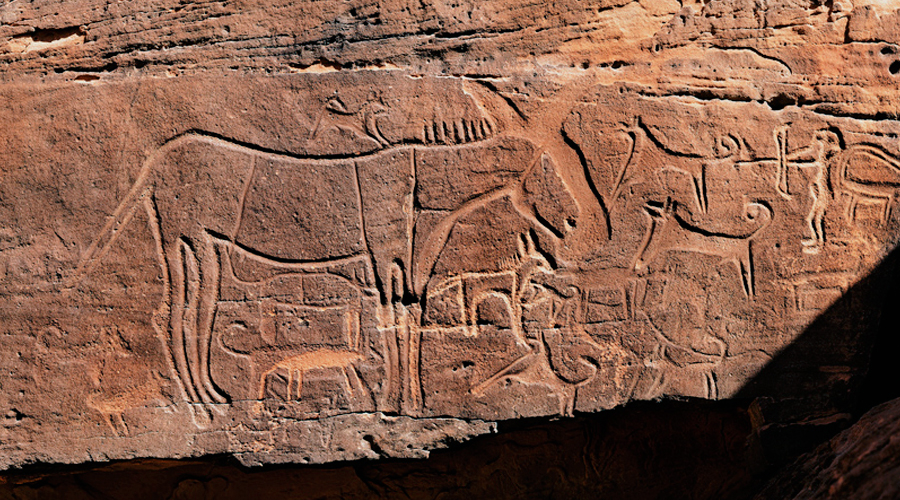 Rock Art of Saudi Arabia Bradshaw Foundation