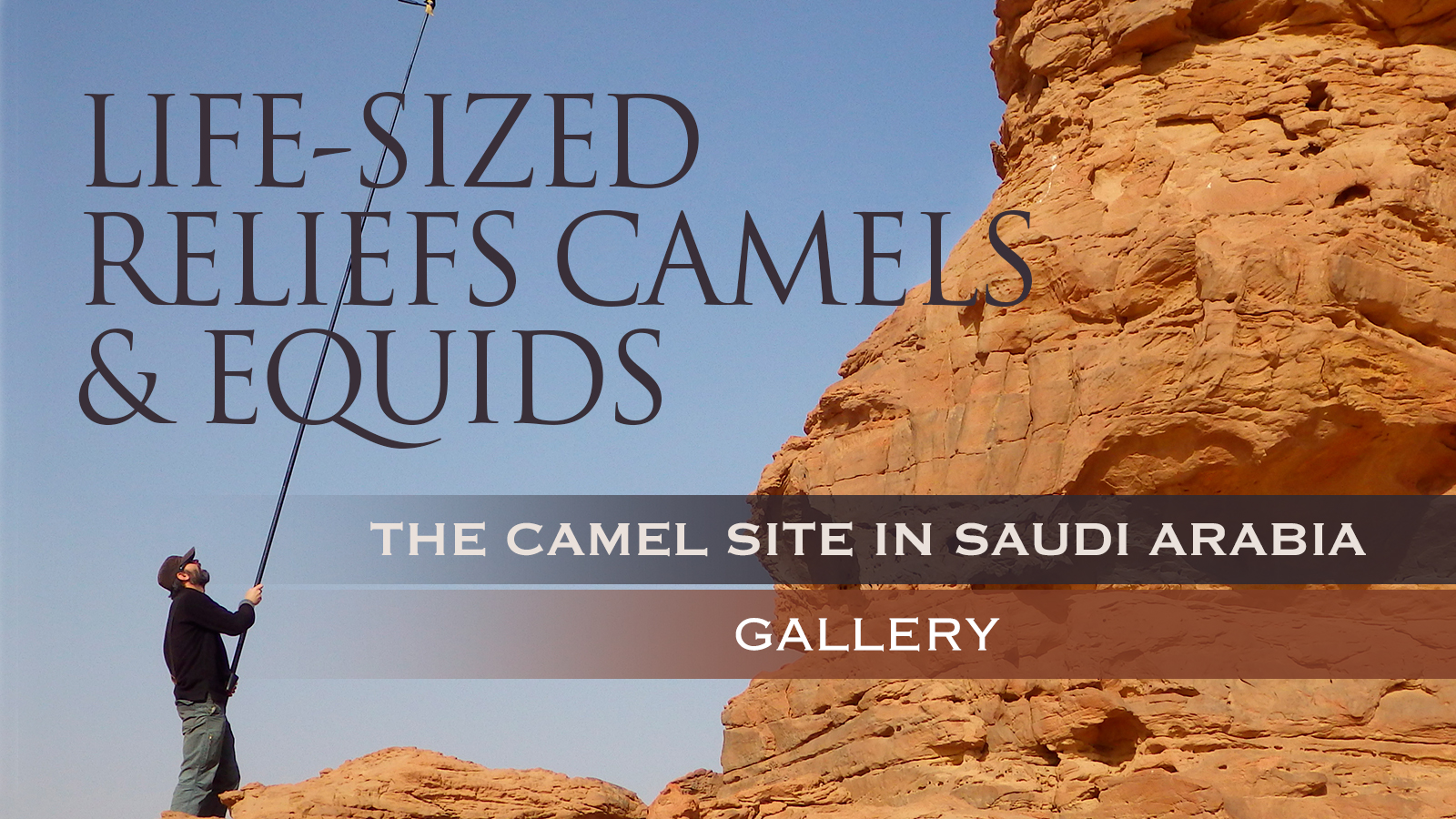 Life-sized reliefs of camels and equids: The Camel Site in Saudi Arabia