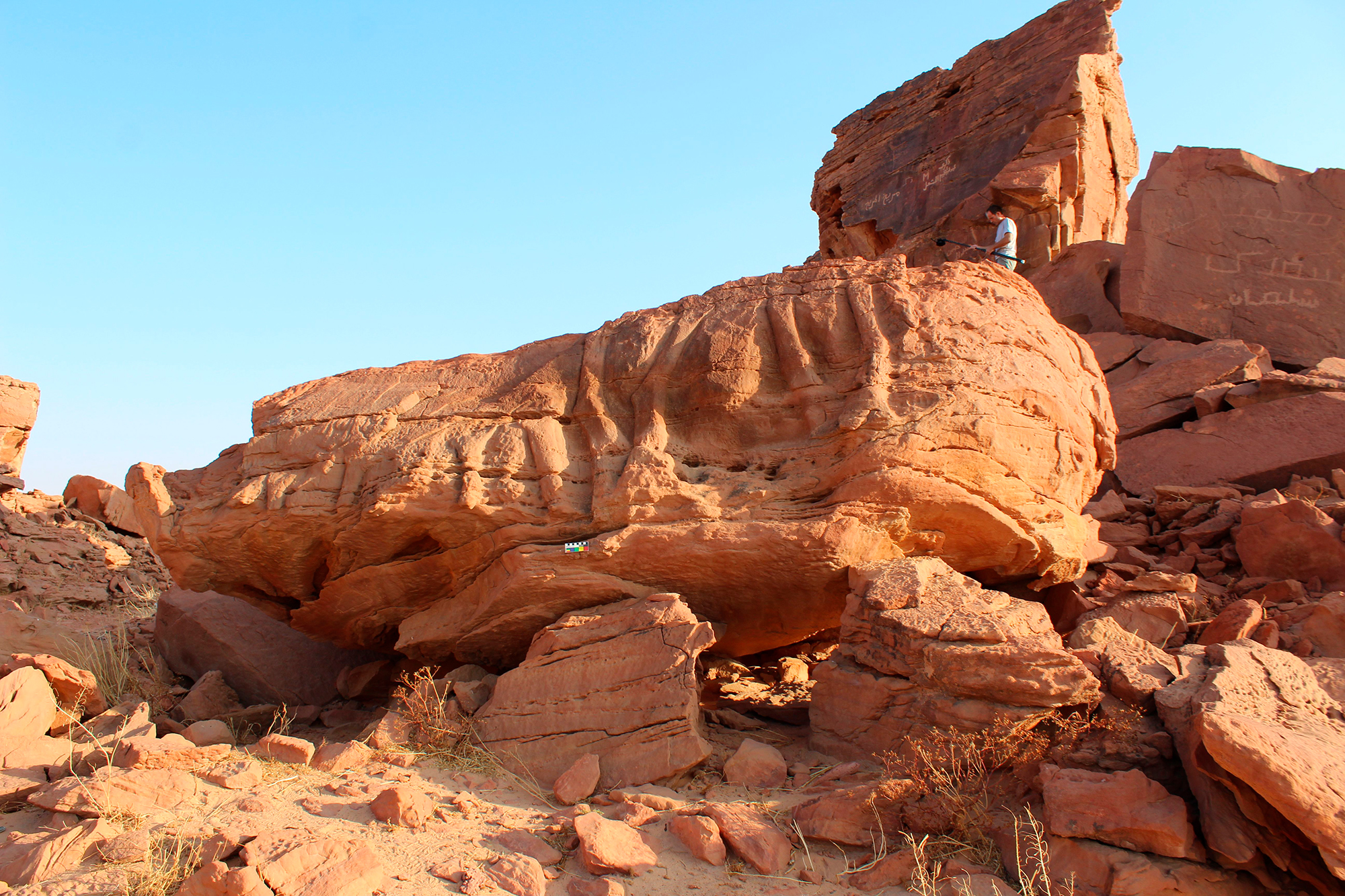 Rock Art Saudi Arabia Camel Equids Site Animal Reliefs Jawf Province Sakâkâ Nabataean