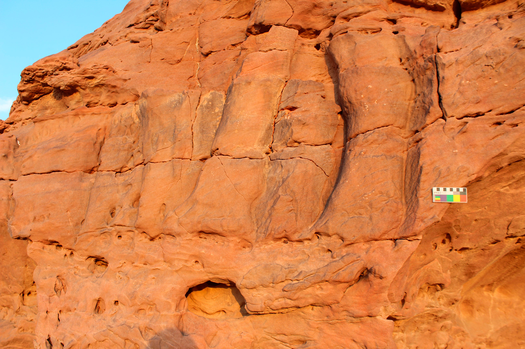 Rock Art Saudi Arabia Camel Equids Site Animal Reliefs Jawf Province Sakâkâ Nabataean?