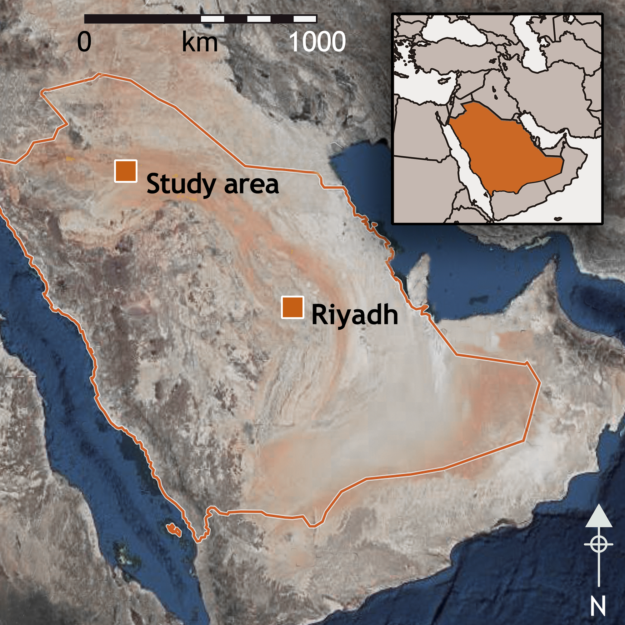 Rock Art Saudi Arabia Camel Equids Site Animal Reliefs Jawf Province Sakâkâ Nabataean