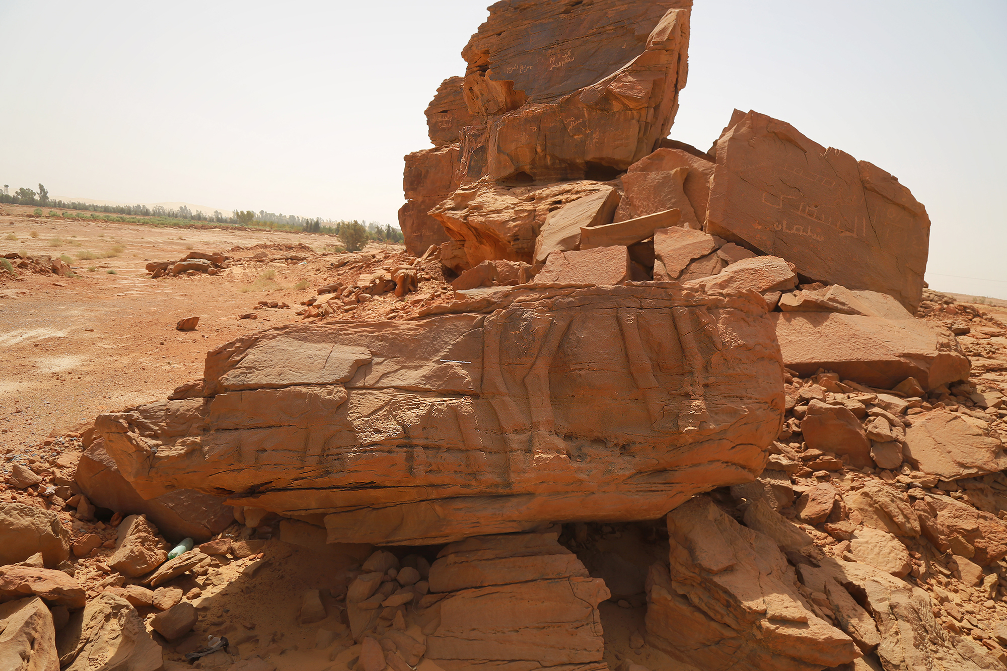 Upside down panel on a fallen boulder with the legs of 2 large camels
