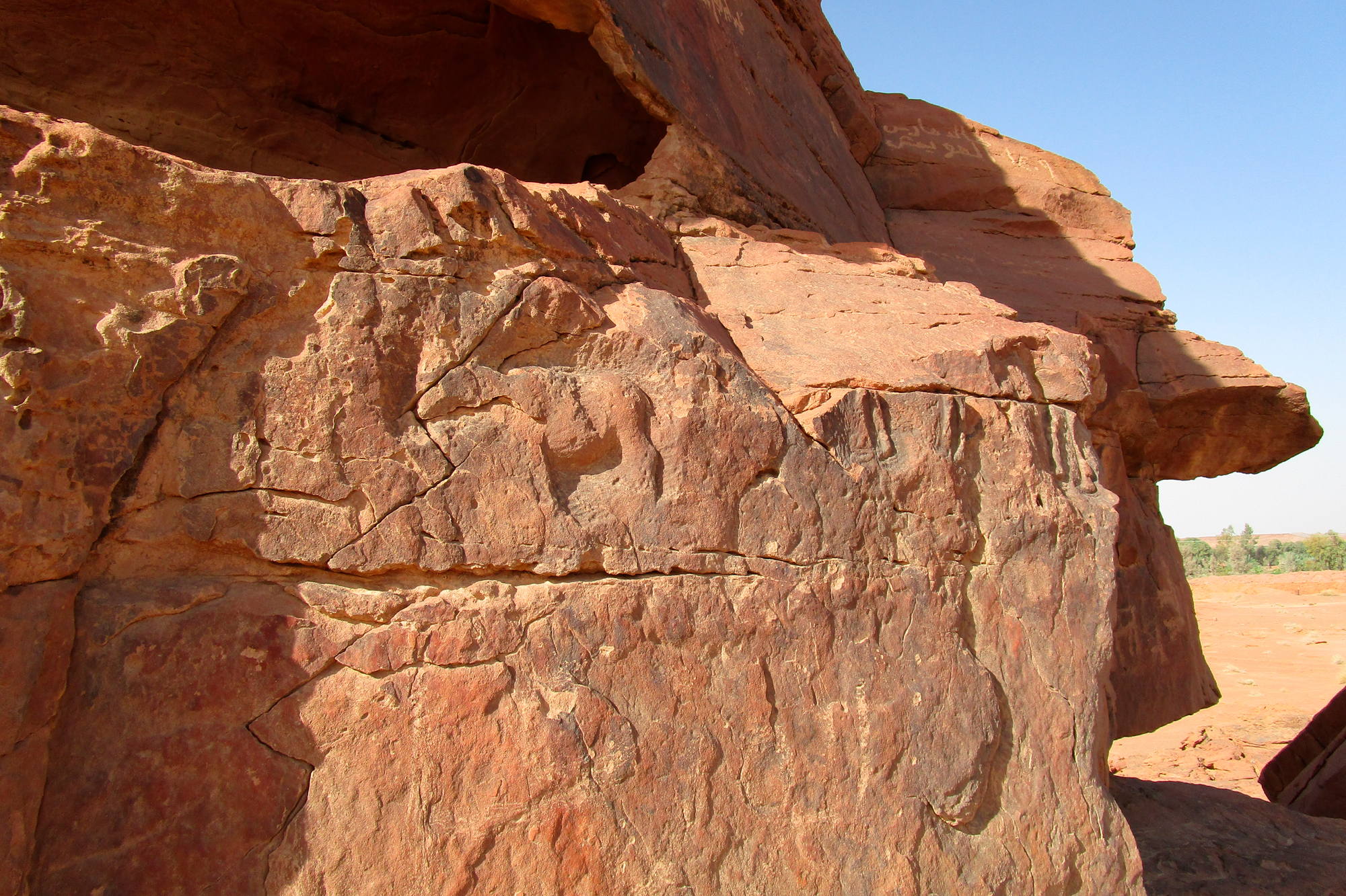 One of 3 panels showing small scale reliefs – here a row of 3 equids, although only the body of the first has been preserved