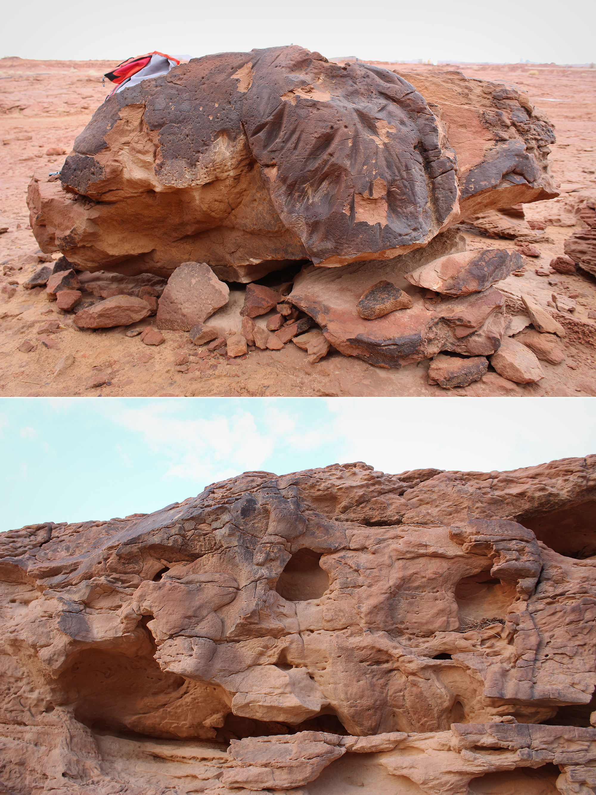 Dark rock varnish preserved on Panels 1 and 2. (Above): body and upper hind leg of a camel, with groove marks. (Below): Dark varnish on the head of a young equid