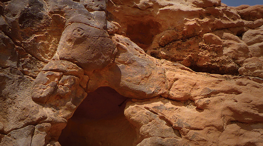 Life-sized reliefs of camels and equids: The Camel Site in Saudi Arabia