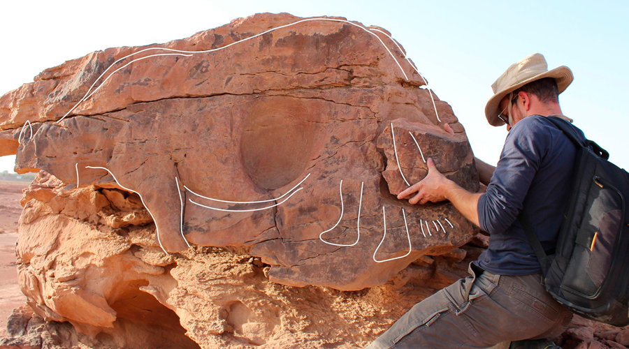 Life-sized reliefs of camels and equids: The Camel Site in Saudi Arabia