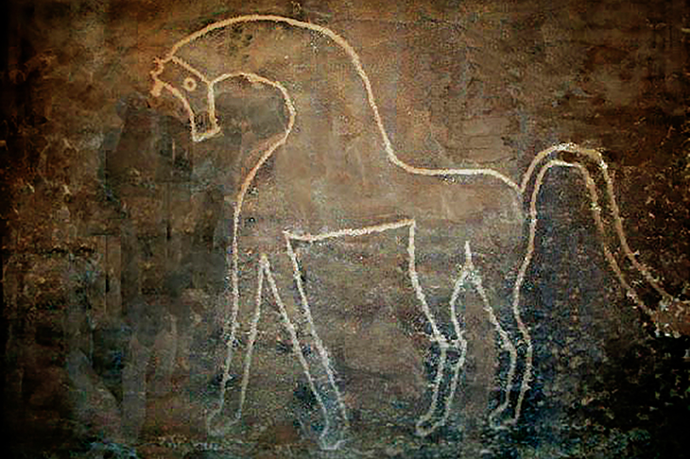 The Arabian Horse in Saudi Arabia Rock Art
