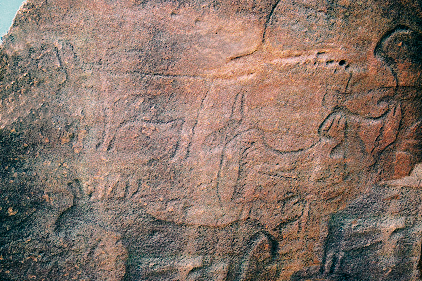 Horse depictions in Saudi Arabia Rock Art
