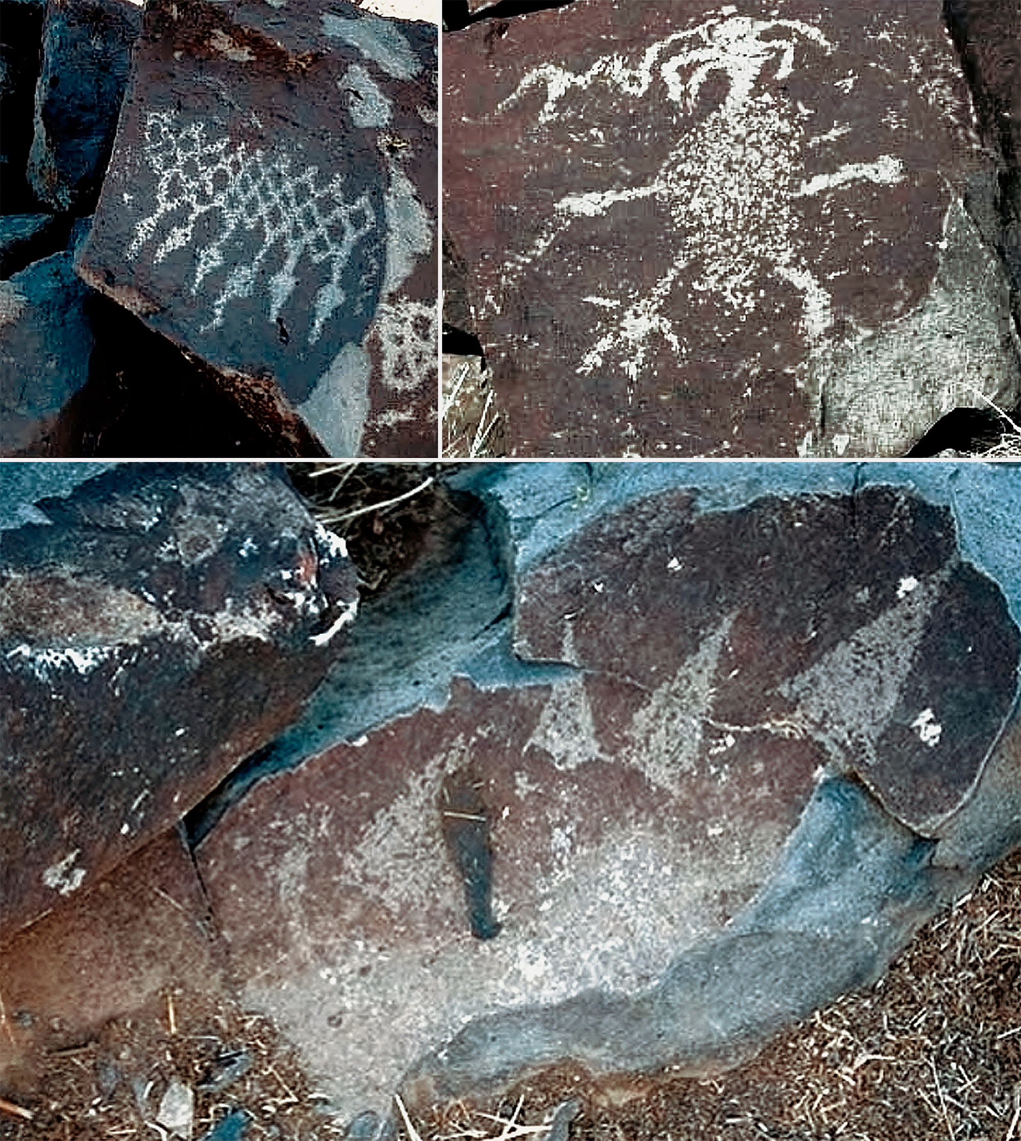 Lagomarsino Canyon Petroglyph Site Nevada Rock Art America United States USA Foundation Bradshaw Foundation