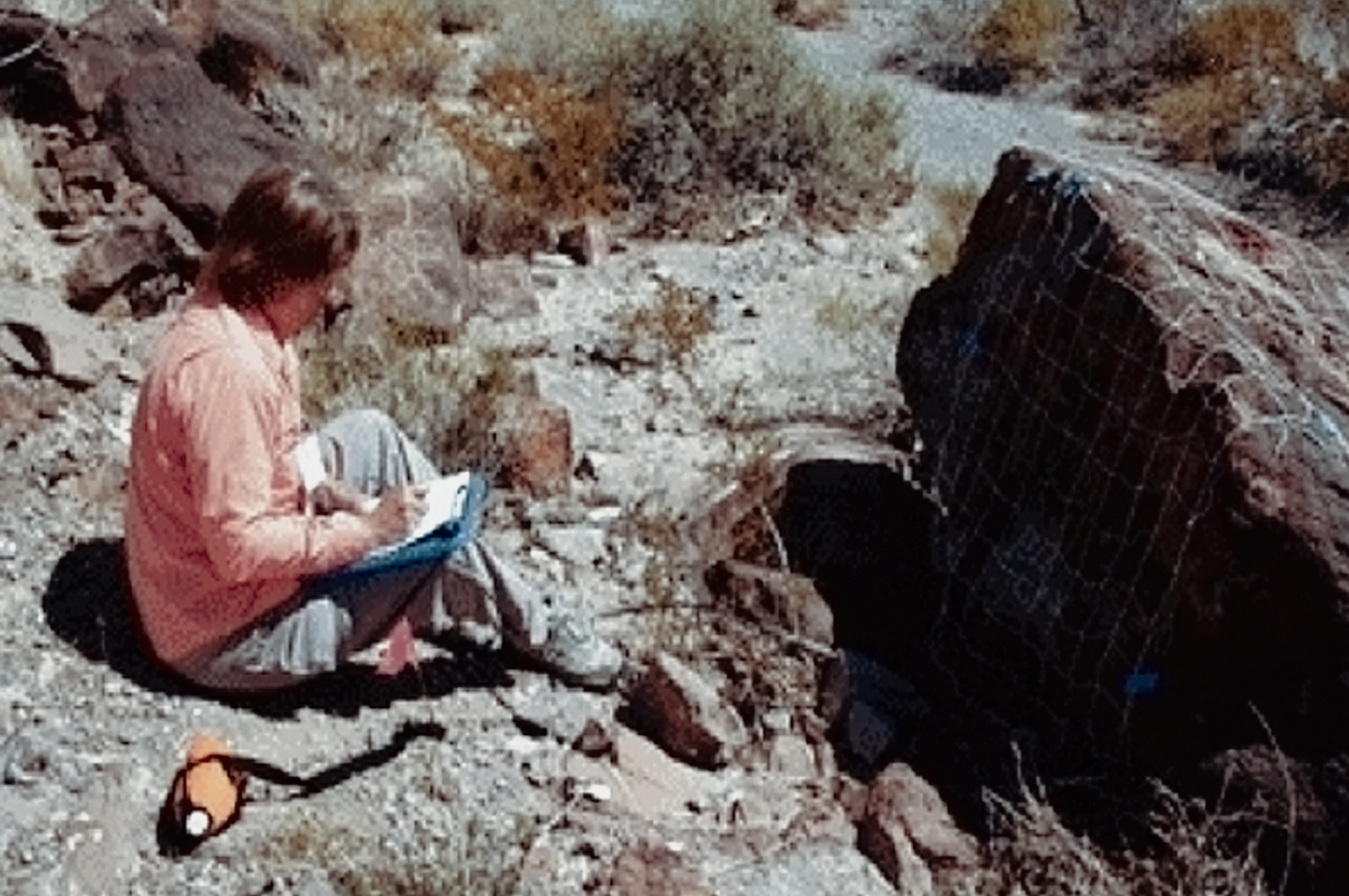 Sloan Canyon National Conservation Area Nevada Rock Art America United States USA Foundation Bradshaw Foundation