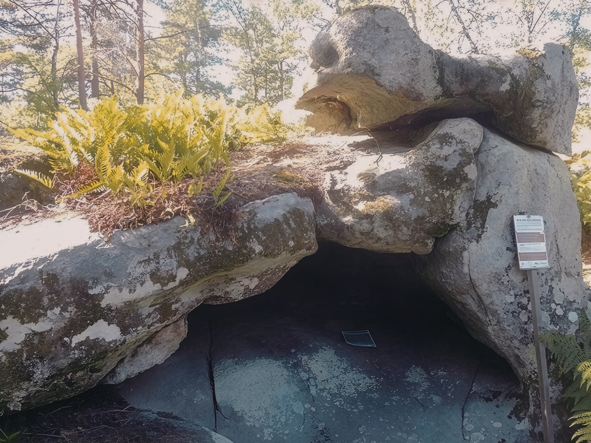 View of the three-dimensional 'map' on the floor of the Ségognole 3 rock shelter in France