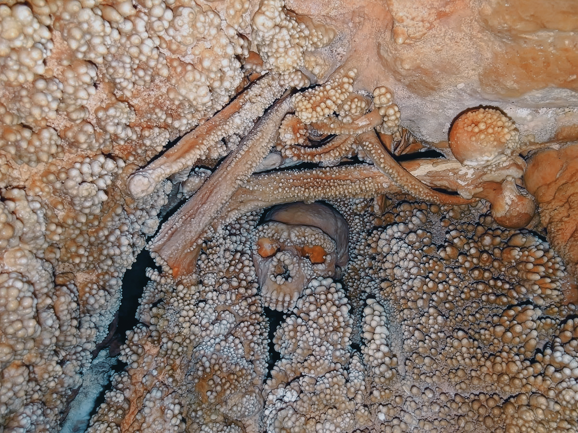The remains of the 'Altamura Man', now considered a Neanderthal, encrusted with calcite formations in the cave of Lamalunga, near Altamura in southern Italy