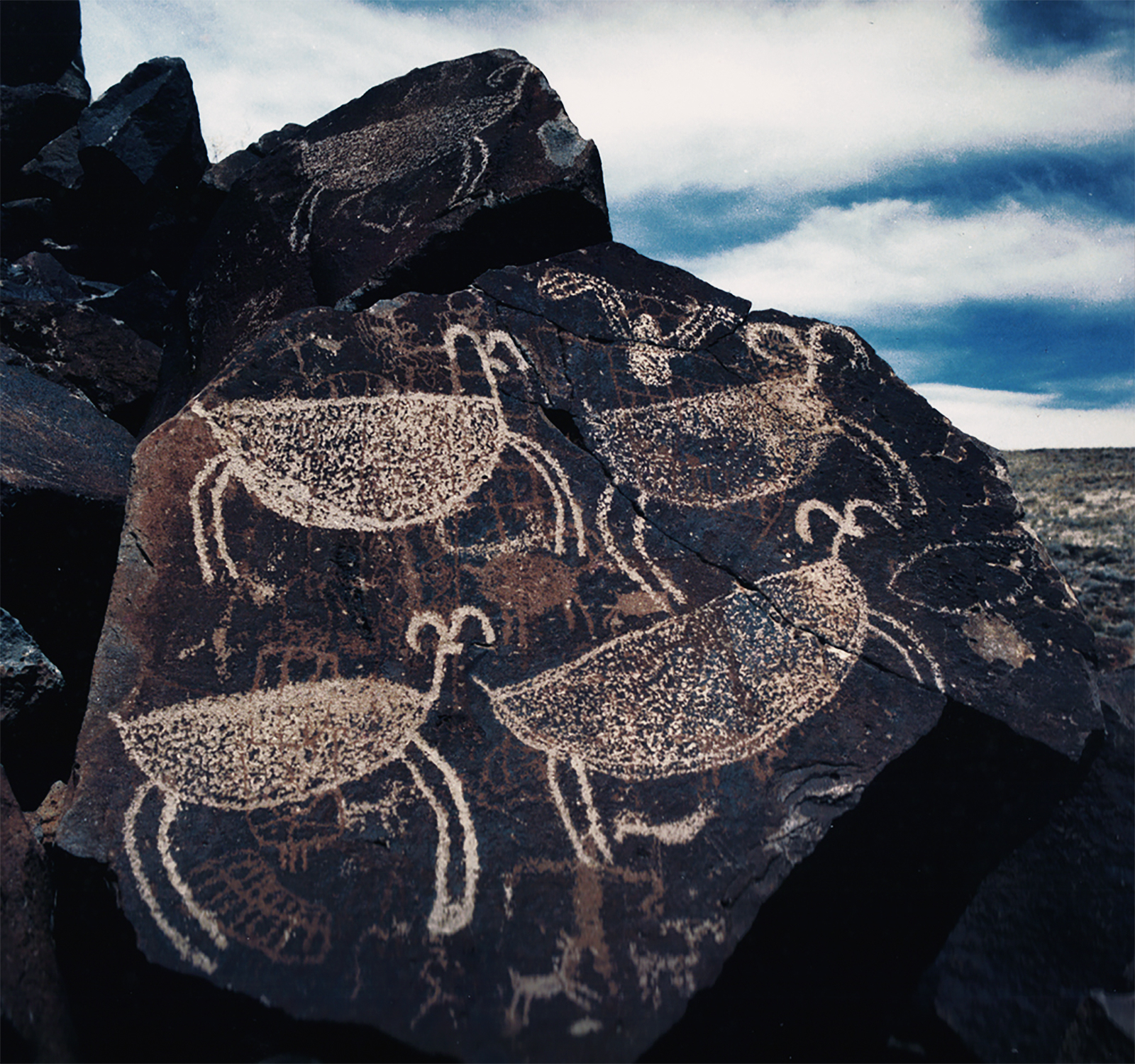 Rock Art of the Cosos Film Screening