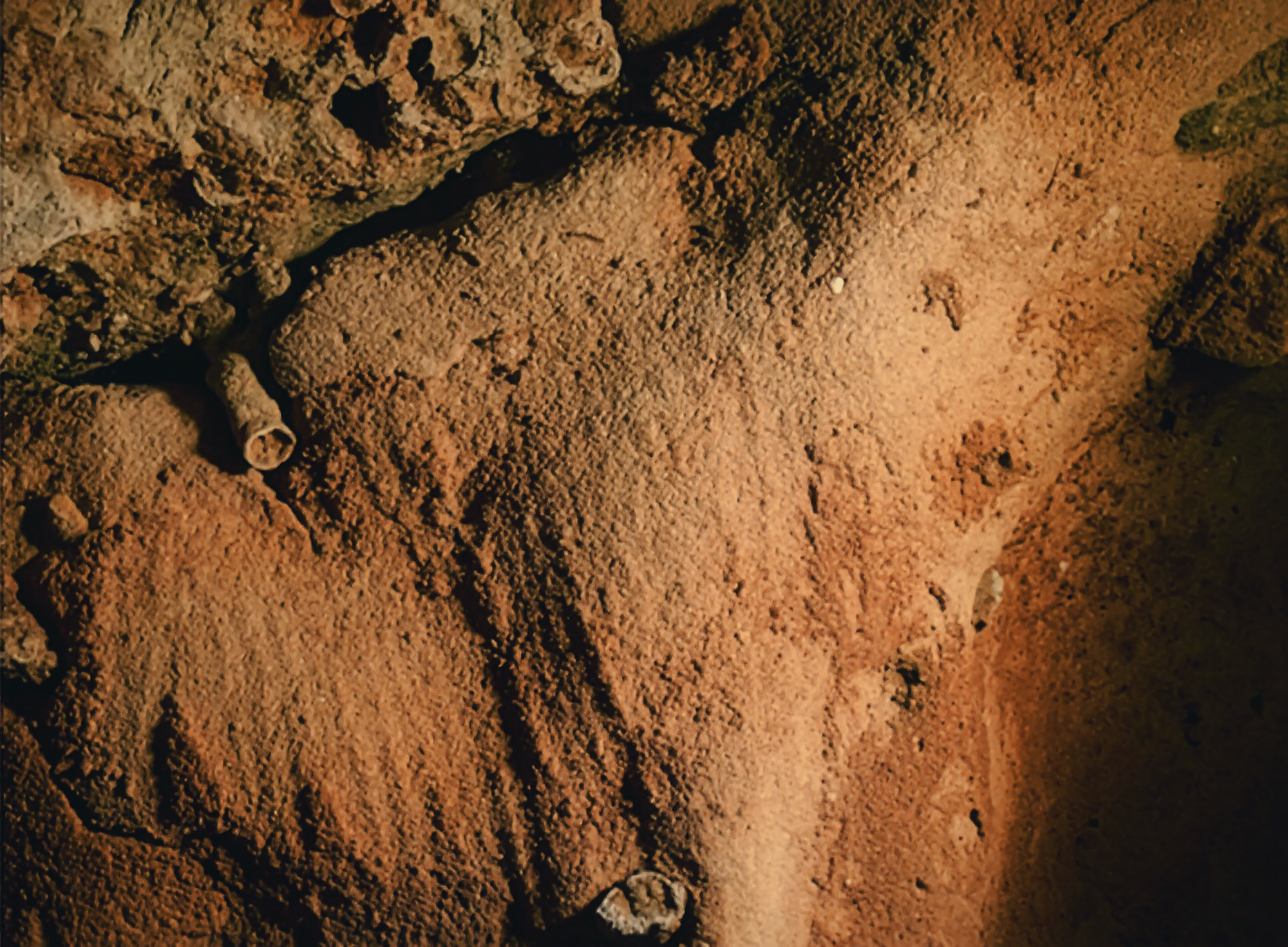 Wall traces of Neanderthals in the caves of La Roche-Cotard