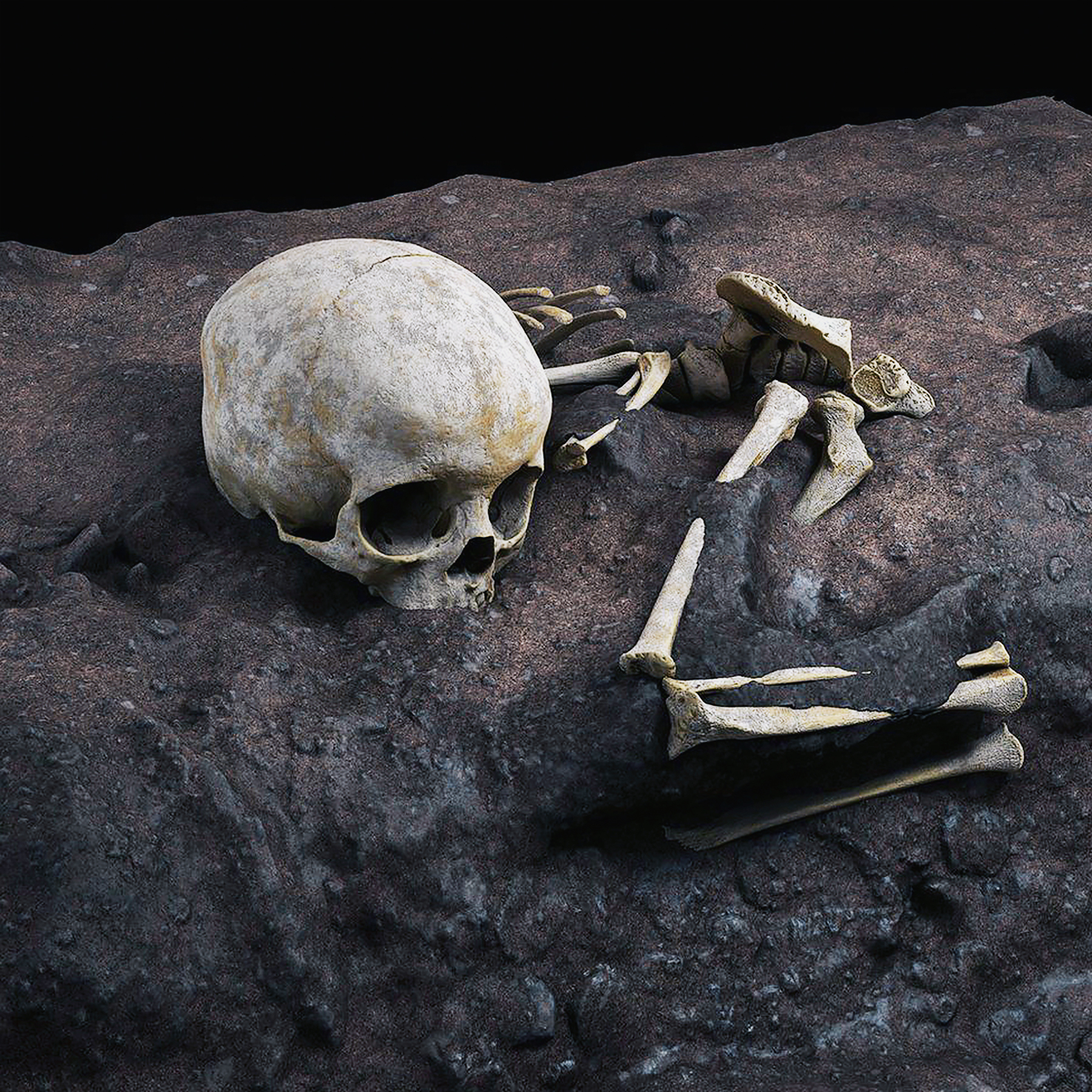 Researchers cast the whole grave site in plaster to preserve the arrangement of the bones