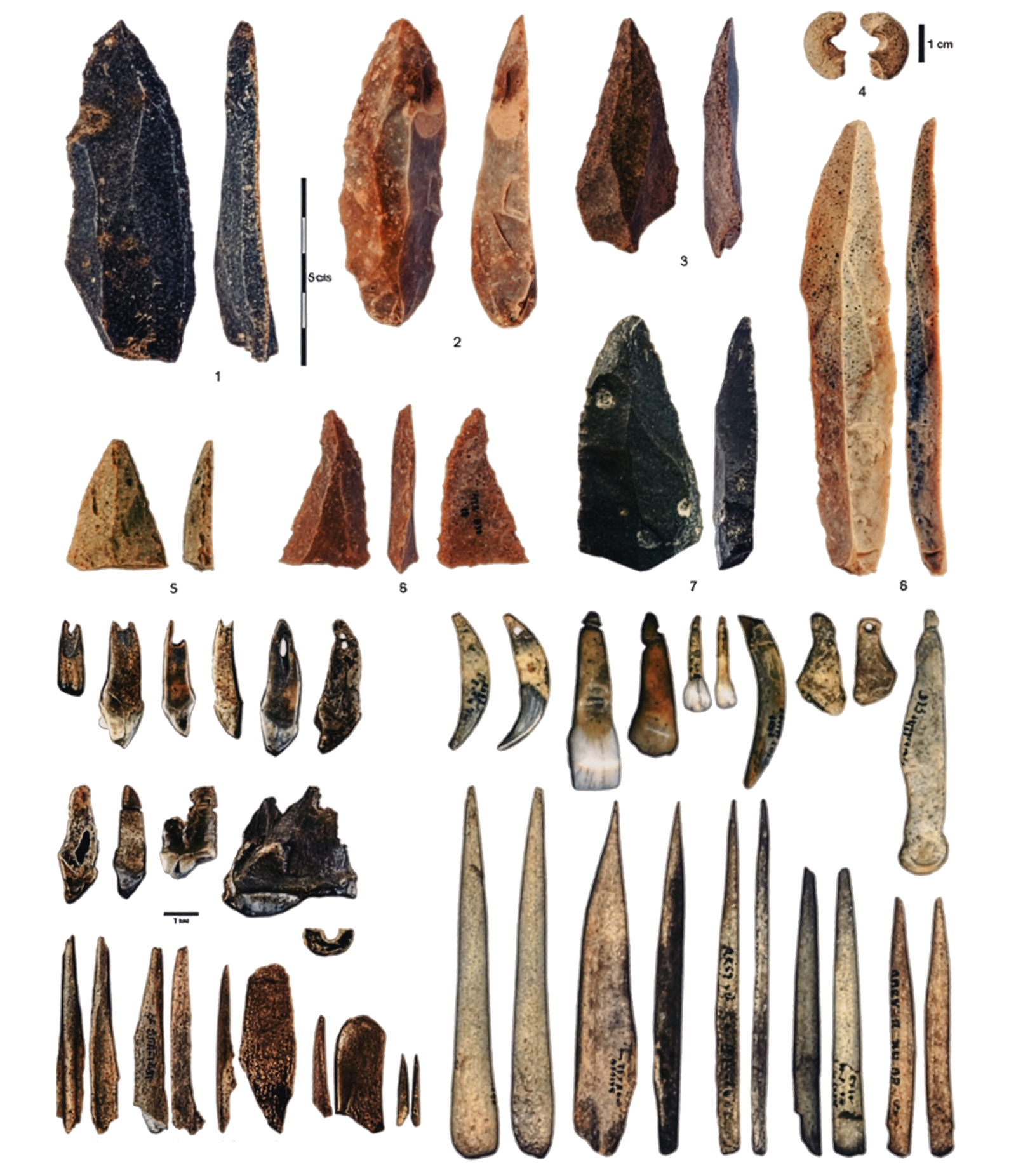 Stone artefacts (from the Initial Upper Palaeolithic at Bacho Kiro Cave. Personal ornaments and bone tools rom Bacho Kiro Cave, with similar objects from Grotte du Renne in France