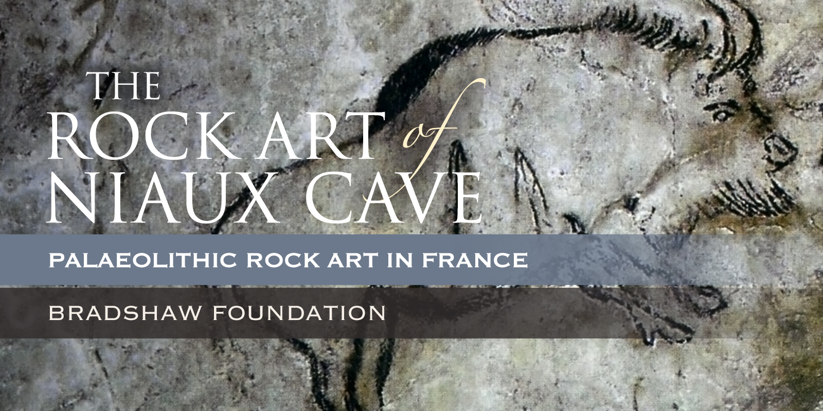Bradshaw Foundation Palaeolithic Cave Art Paintings Niaux Cave France