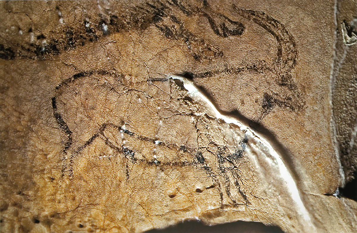 Calcite deposit on an ibex drawn
on the cul-de-four pediment