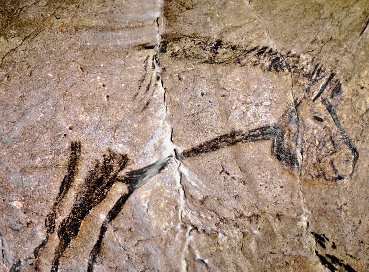 Horse Cave Painting from the Niaux Cave