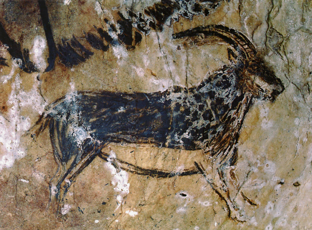 Ibex Cave Painting from the Niaux Cave
