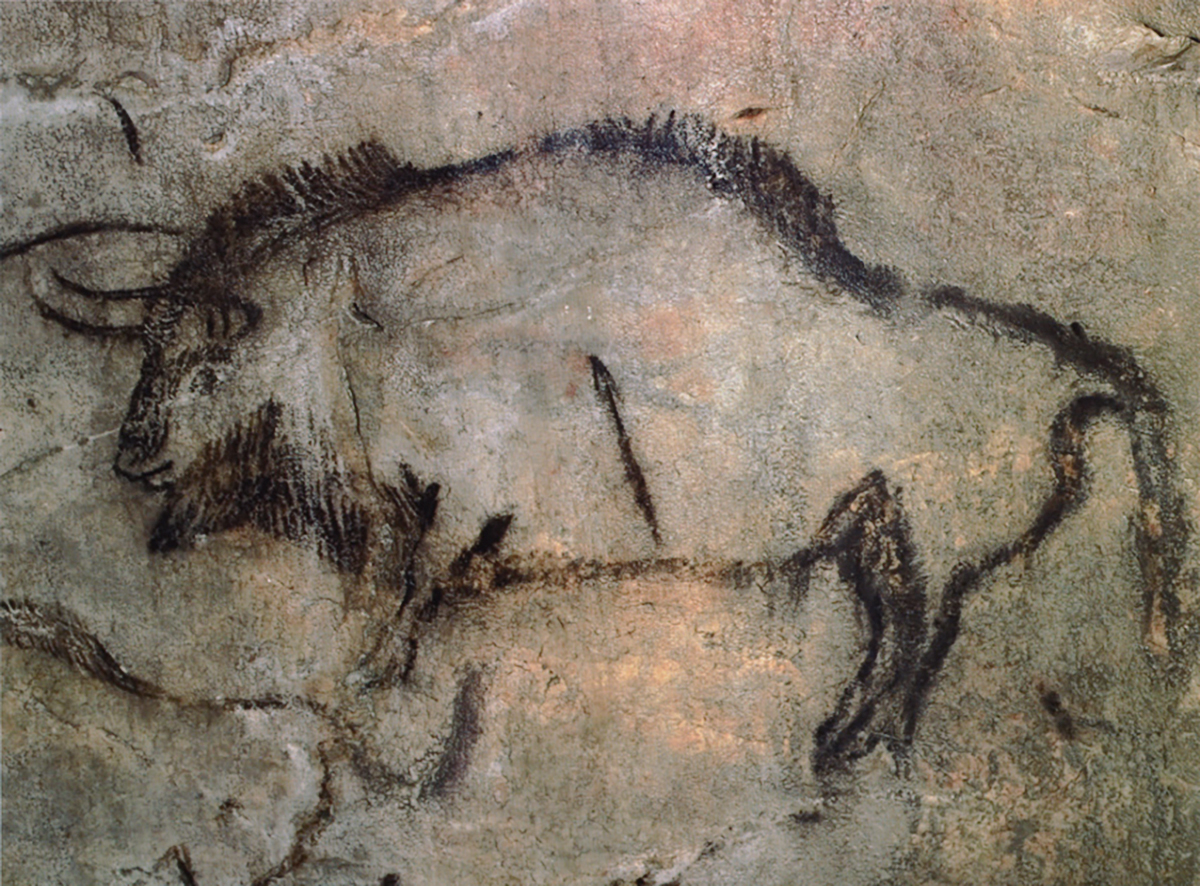Bison Cave Painting from the Niaux Cave