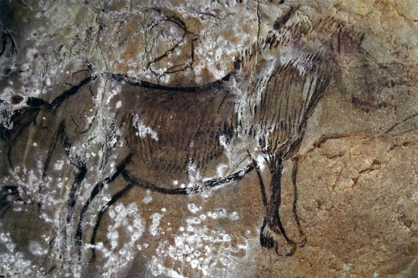 Extremely detailed horse the largest figure in the Niaux cave