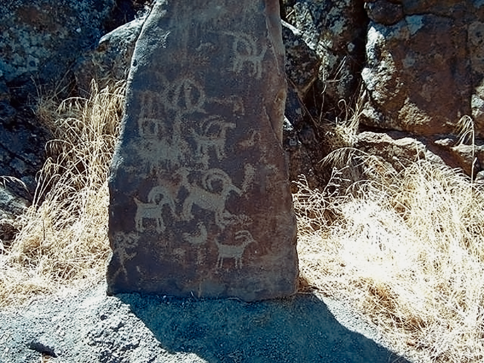 Rock Art Oregon Territory Columbia Hills State Park Petroglyphs Pictographs Bradshaw Foundation Archaeology