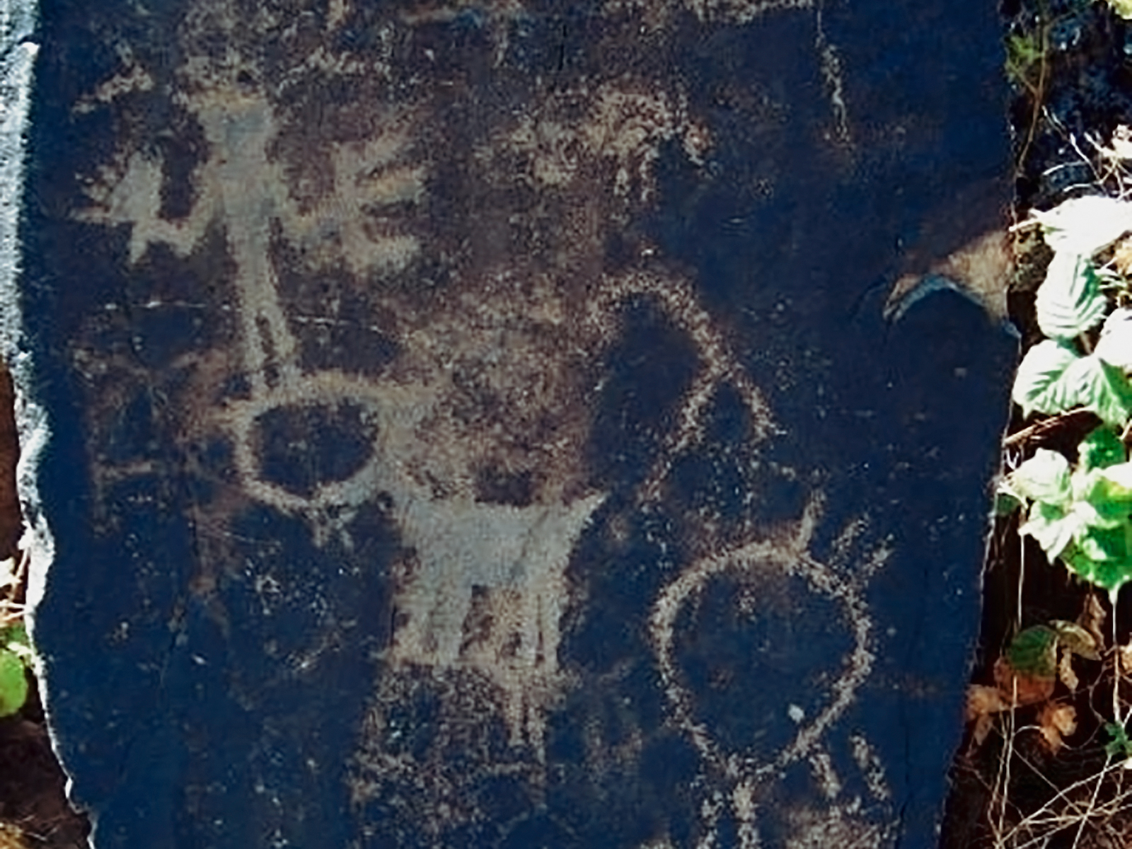 Rock Art Oregon Territory Columbia Hills State Park Petroglyphs Pictographs Bradshaw Foundation Archaeology