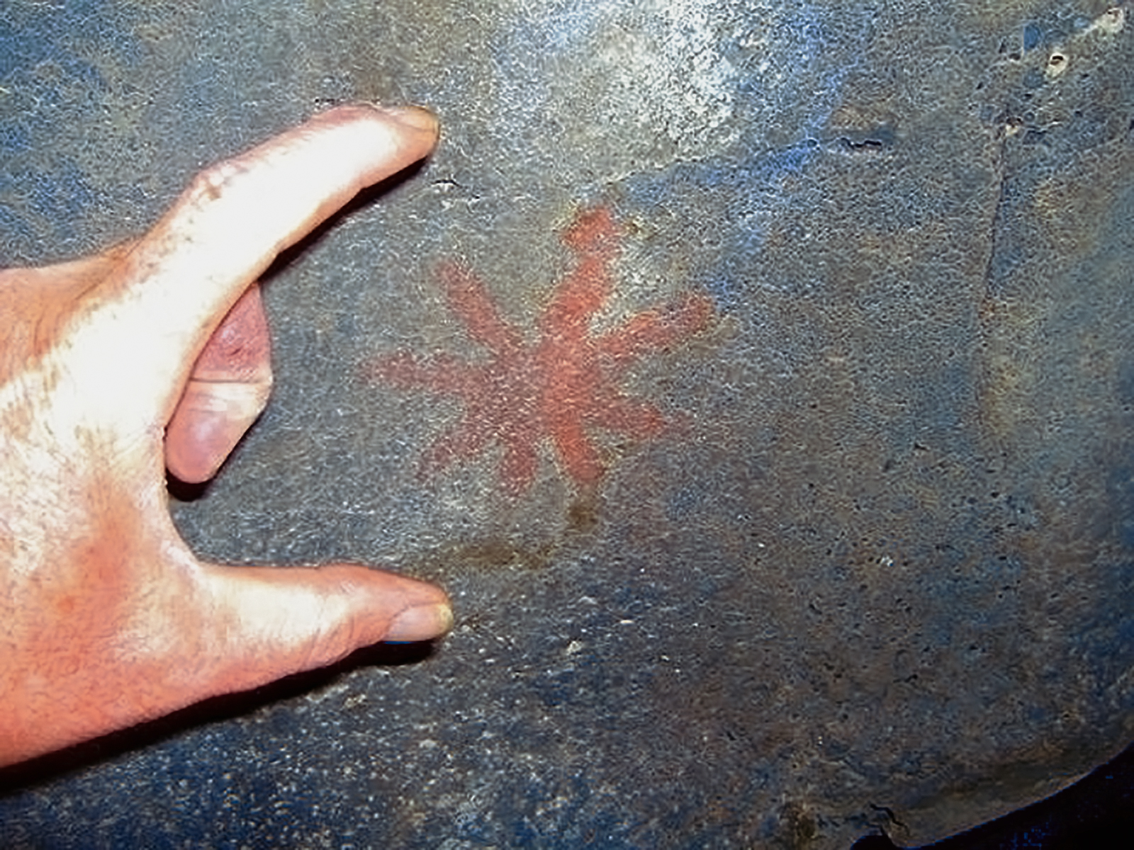 Rock Art Oregon Territory Horseshoe Falls Petroglyphs Pictographs Bradshaw Foundation Archaeology