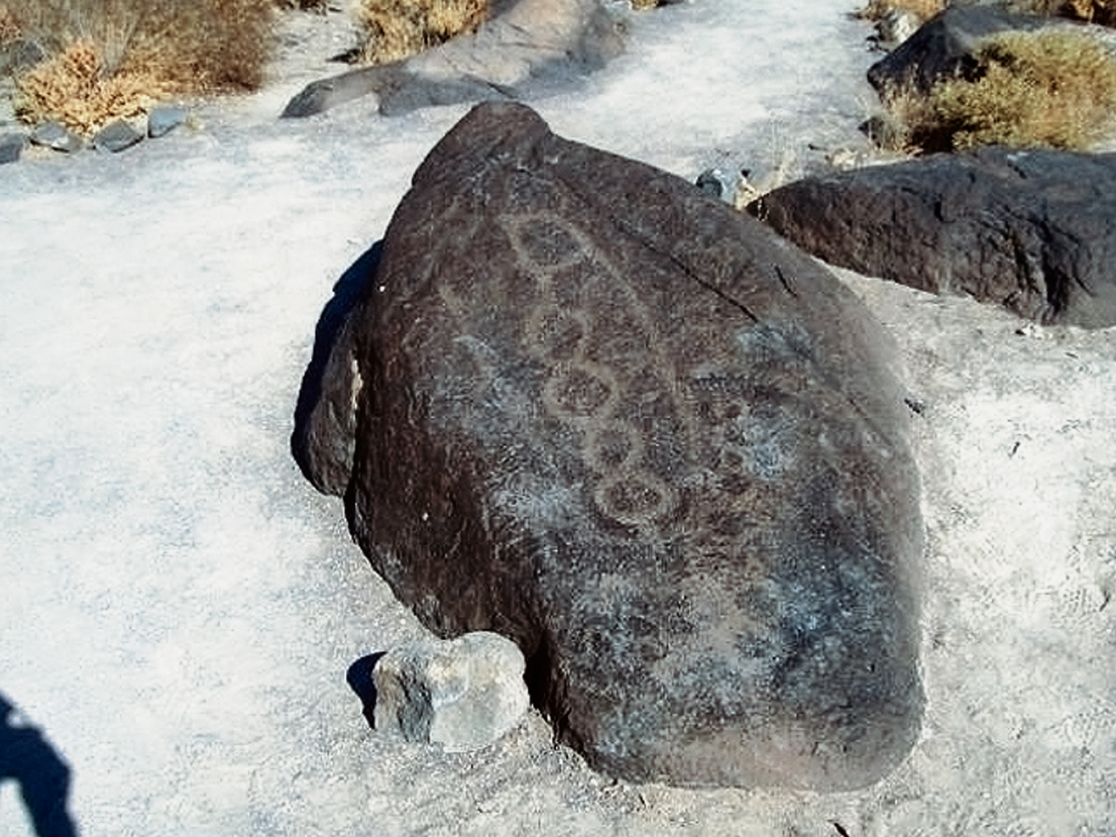 Rock Art Oregon Territory Grimes Point Petroglyphs Pictographs Bradshaw Foundation Archaeology