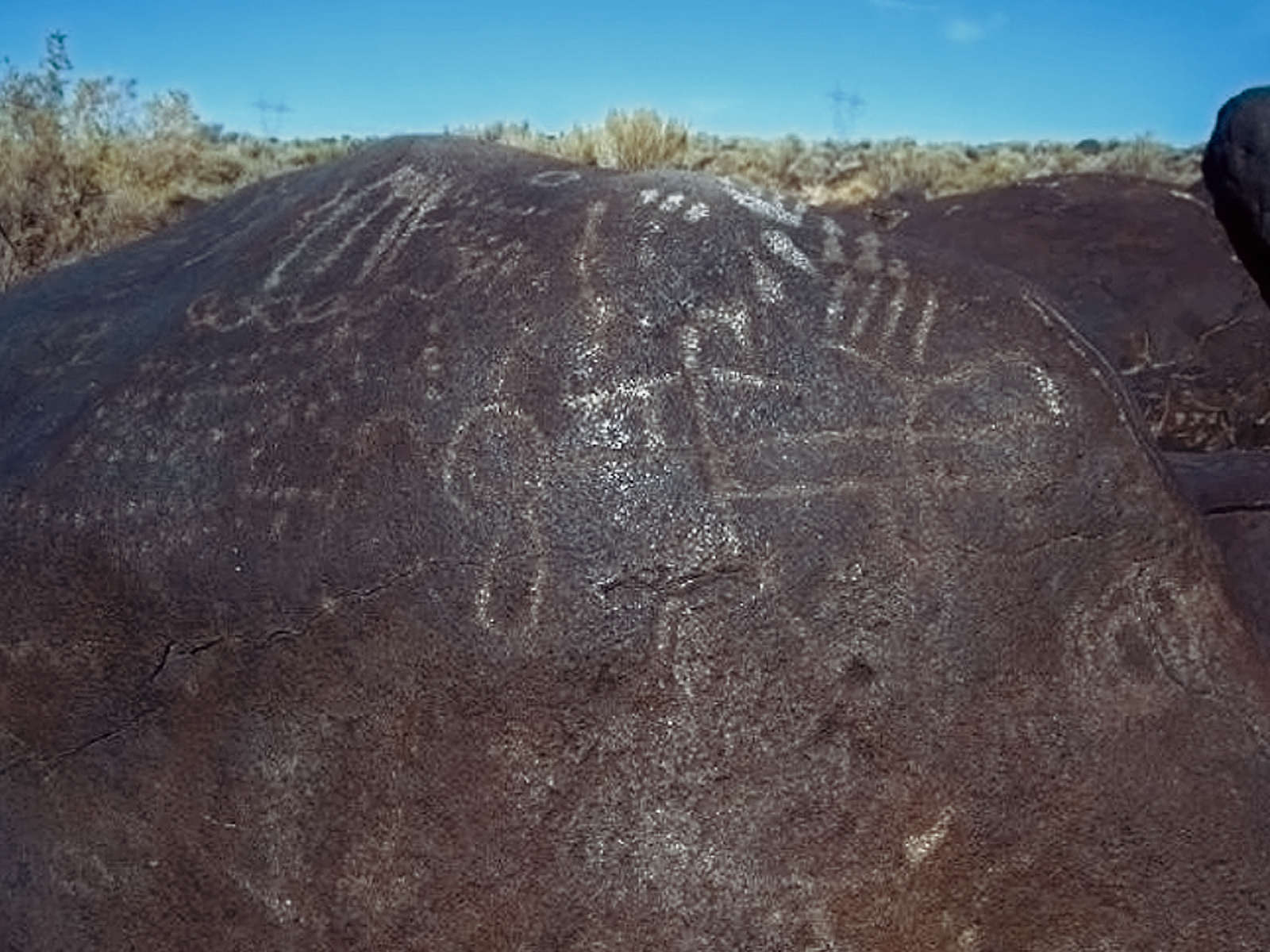 Rock Art Oregon Territory Celebration Park Petroglyphs Pictographs Bradshaw Foundation Archaeology