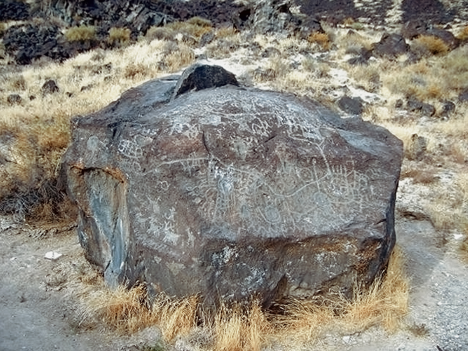 Rock Art Oregon Territory Map Rock Petroglyphs Pictographs Bradshaw Foundation Archaeology