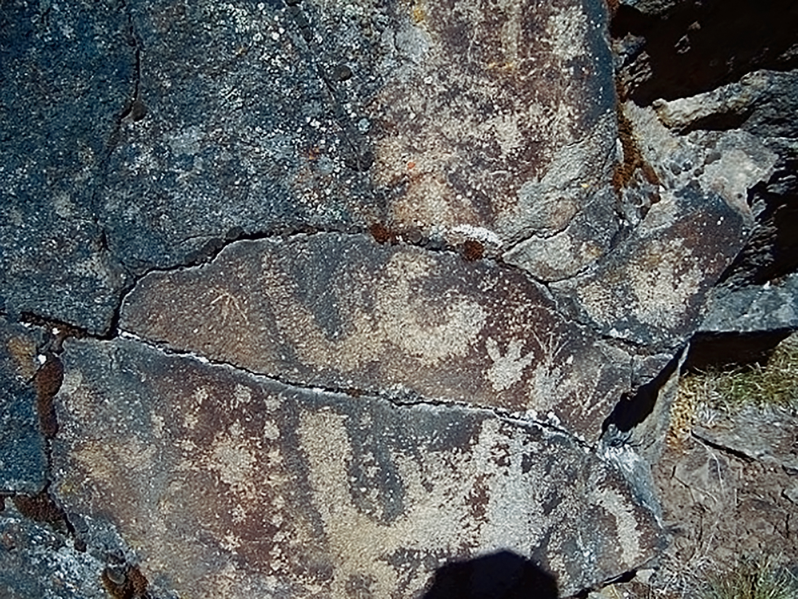 Rock Art Oregon Territory 44 Lake Petroglyphs Pictographs Bradshaw Foundation Archaeology