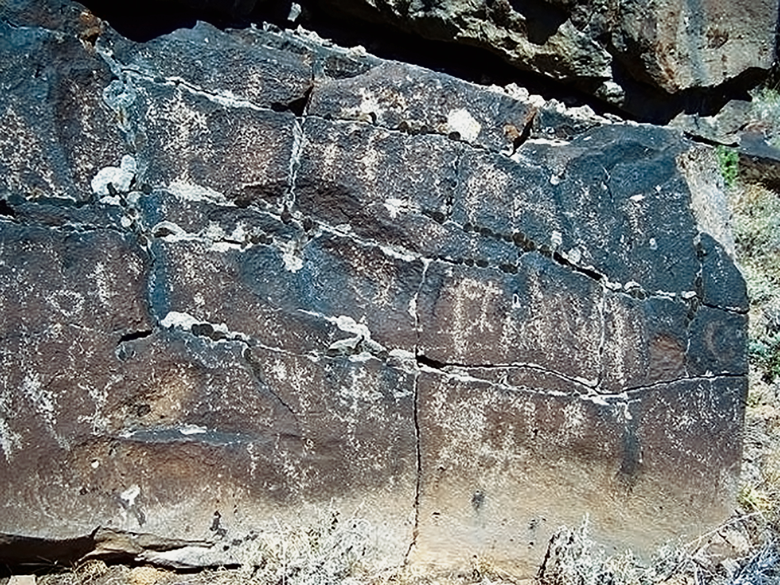 Rock Art Oregon Territory West of Jacobs Cabin Petroglyphs Pictographs Bradshaw Foundation Archaeology