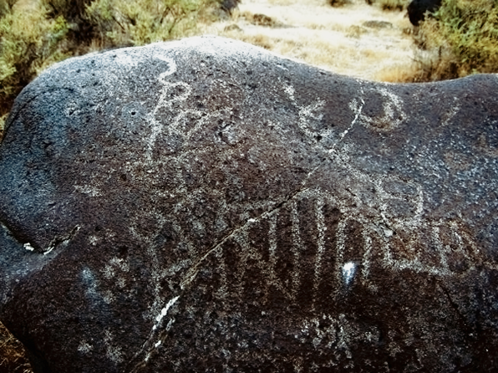 Rock Art Oregon Territory Wees Bar Petroglyphs Pictographs Bradshaw Foundation Archaeology