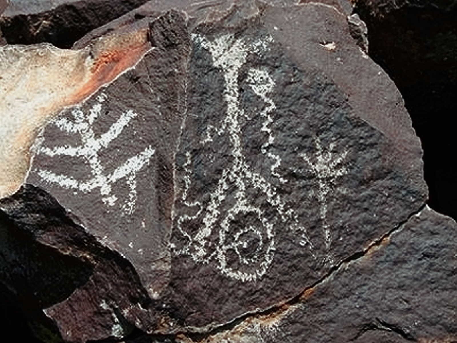 Rock Art Oregon Territory Largomarsino Petroglyphs Pictographs Bradshaw Foundation Archaeology